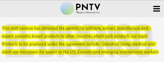 pntv cannabis