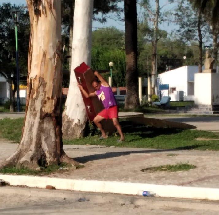 "Burra" descargando el cajón antes de dormir un ratito al lado