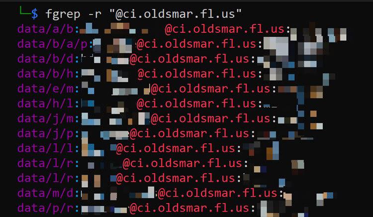 oldsmar creds blurred CN