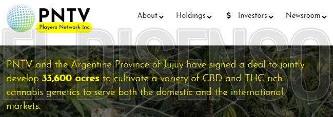 pntv_Cannabis_jujuy