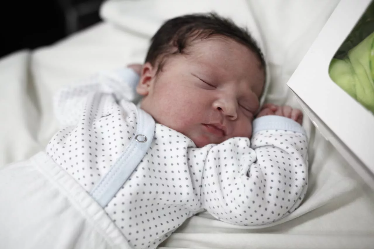 WhatsApp-Image-2023-01-01-at-12.02.42