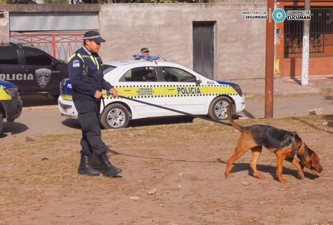 650x440_220711170936_77627