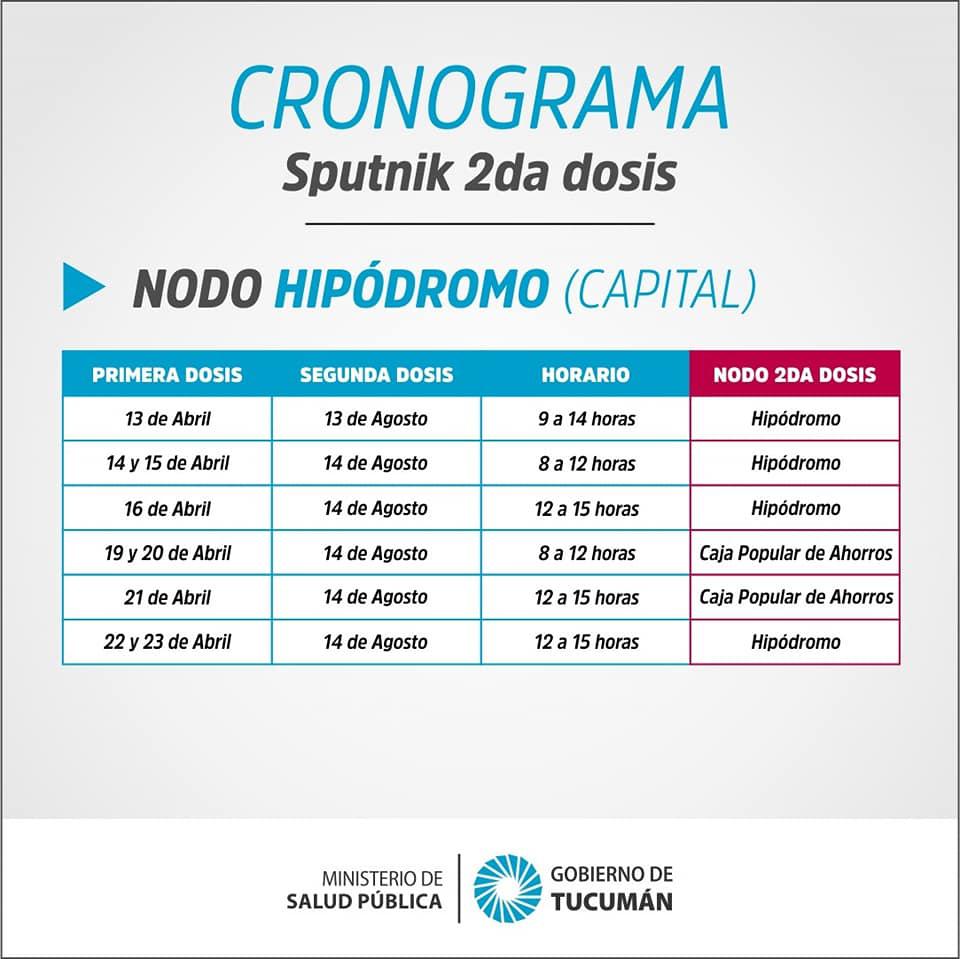 Cronograma