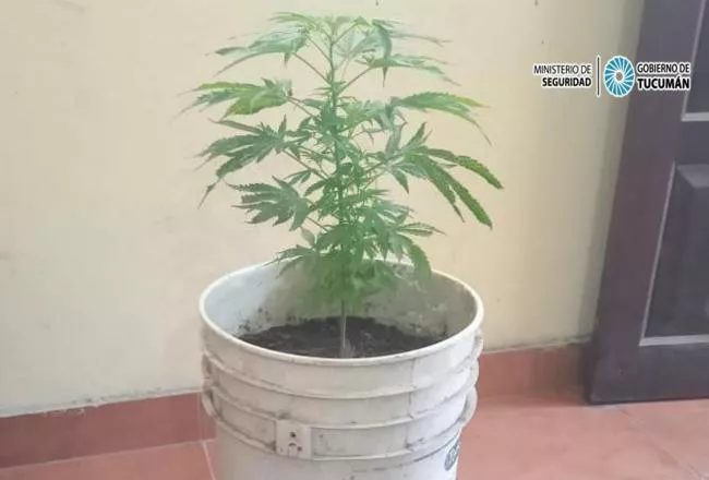 650x440_220815210132_92509