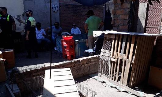 RIÑA DE GALLOS
