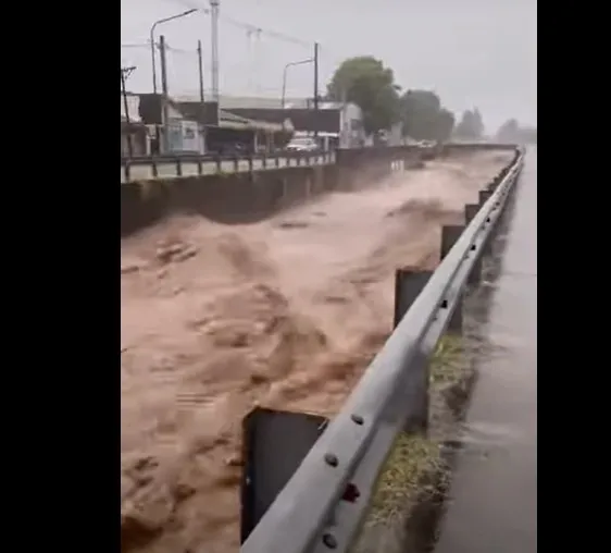Captura de video, de la gaceta