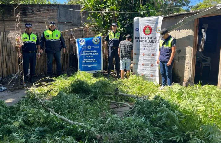 730x473_250403183812_88022