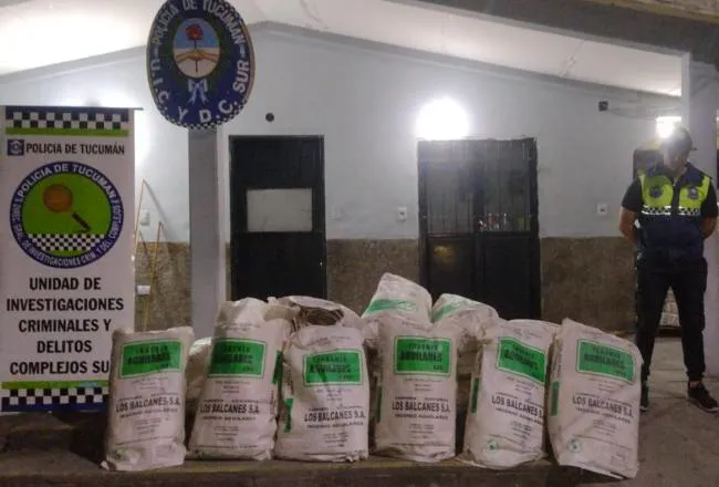 650x440_240929094544_39287