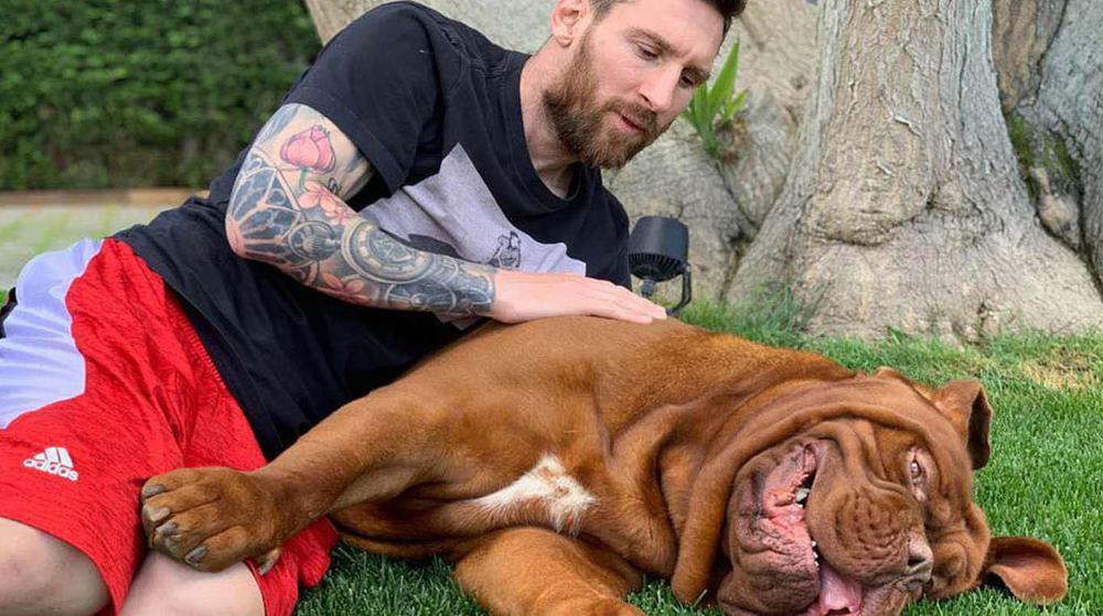 Hull el perro de Messi