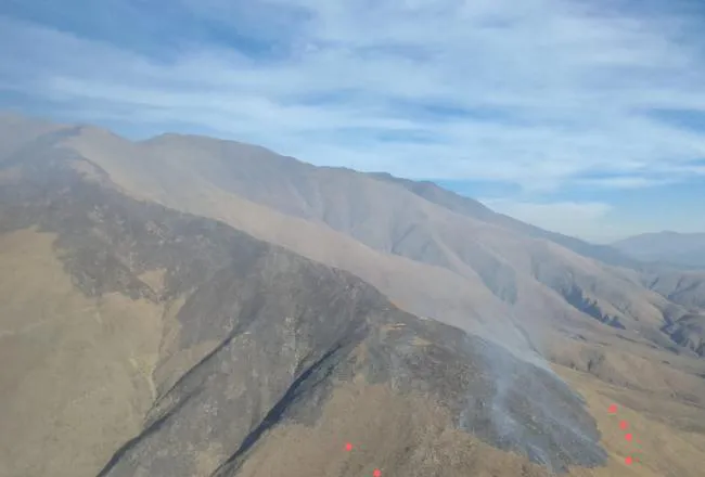 650x440_240905190834_89056