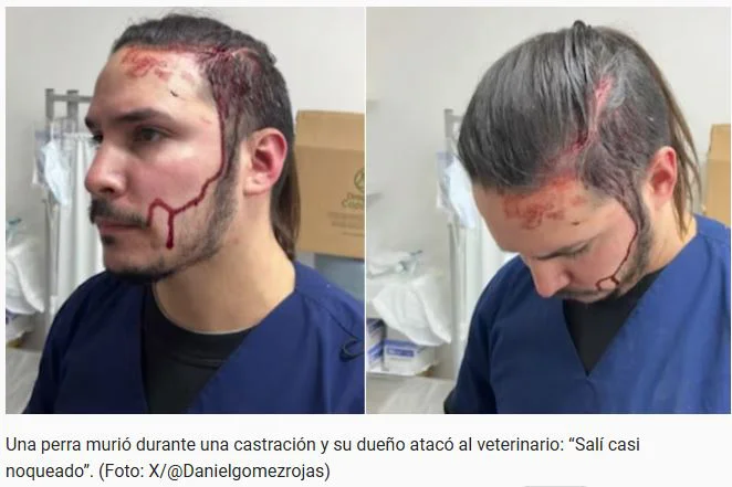 Veterinario atacado