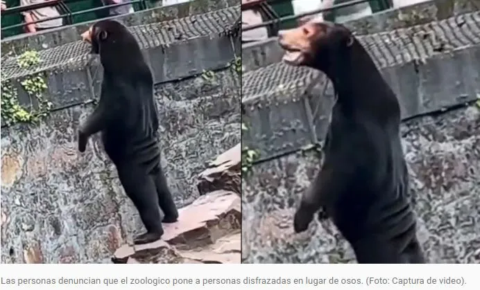 Captura