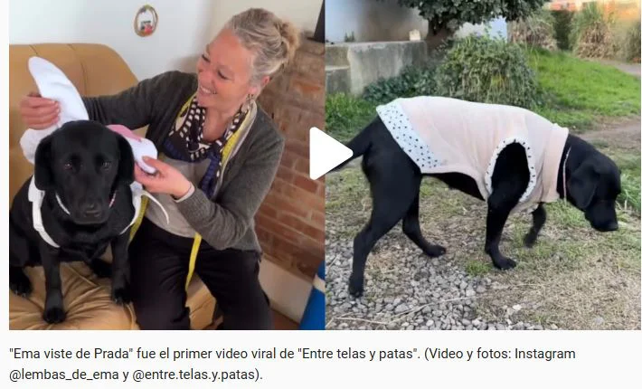 Perrita