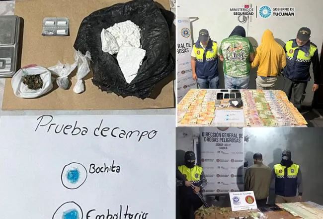 650x440_240728114333_80250