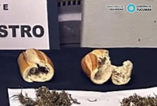 650x440_240613123101_74692