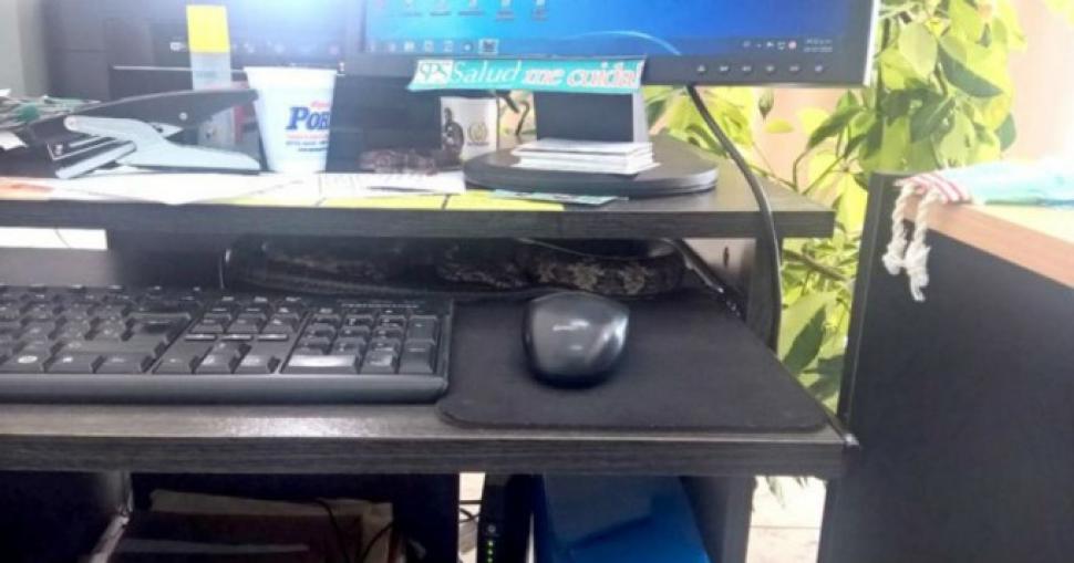 Foto tomada del portal cronica.com.ar