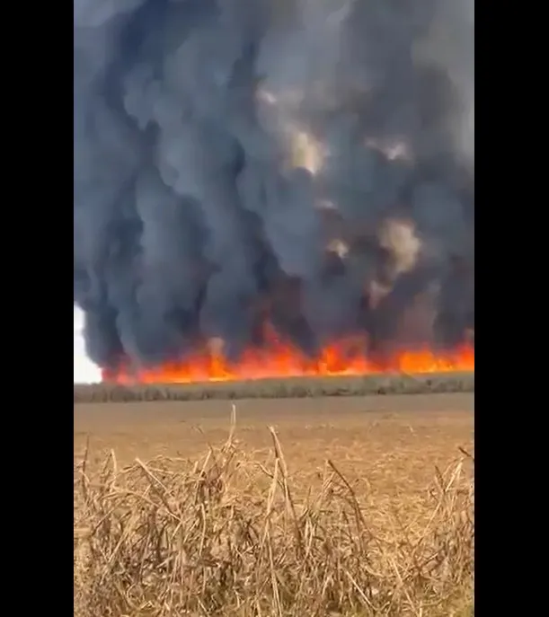 Quema de cañas en Bella Vista, sobre Ruta Nacional 157