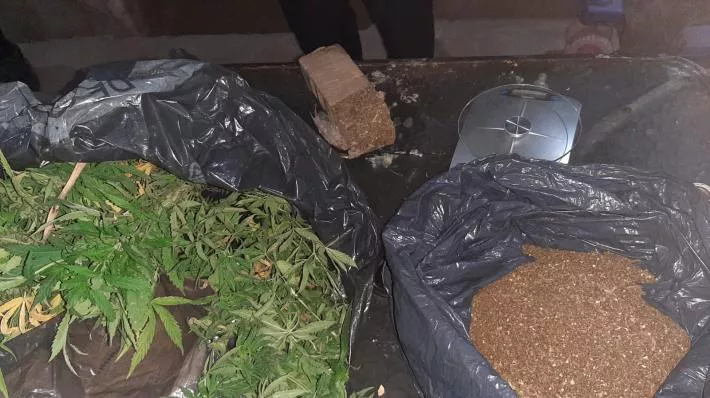 Droga escondida en un galliero foto comunicaciontucuman.gob.ar
