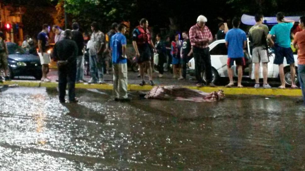 Foto tomada de primerafuente.com.ar
