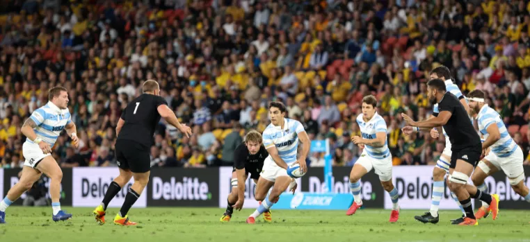 @lospumas equipo