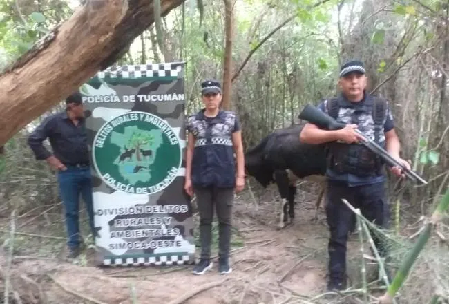 Captura 1