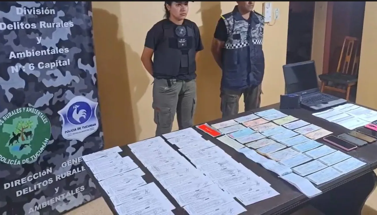 Banda que estafaba con cheques robados
