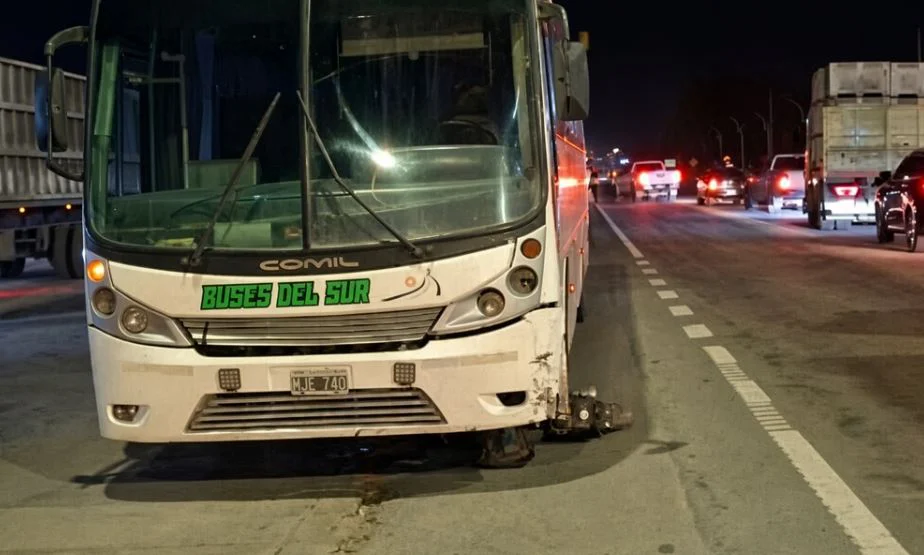 Buses del sur