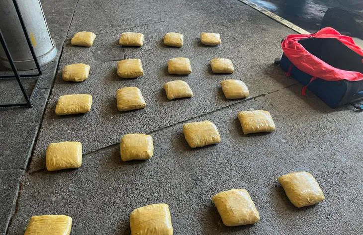 730x473_241112135649_43971