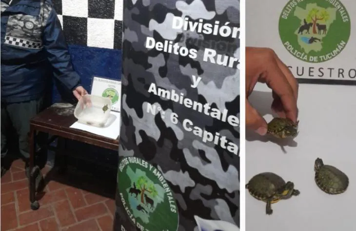 730x473_250717162608_52054