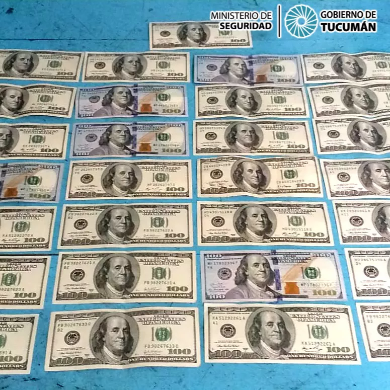 dolares