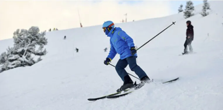 Macro vacaciones de invierno3