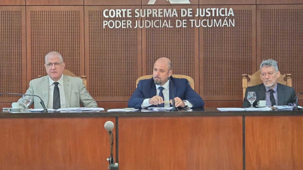 Juicio Por Paulina