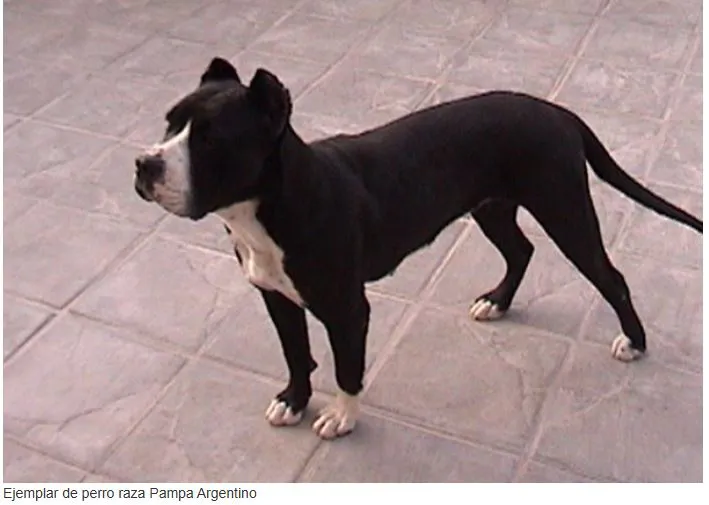 Captura