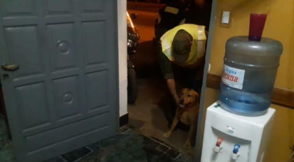 Captura de video