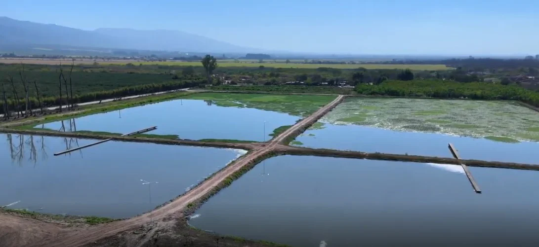 Planta de tratamiento de liquidos cloacales de Lules