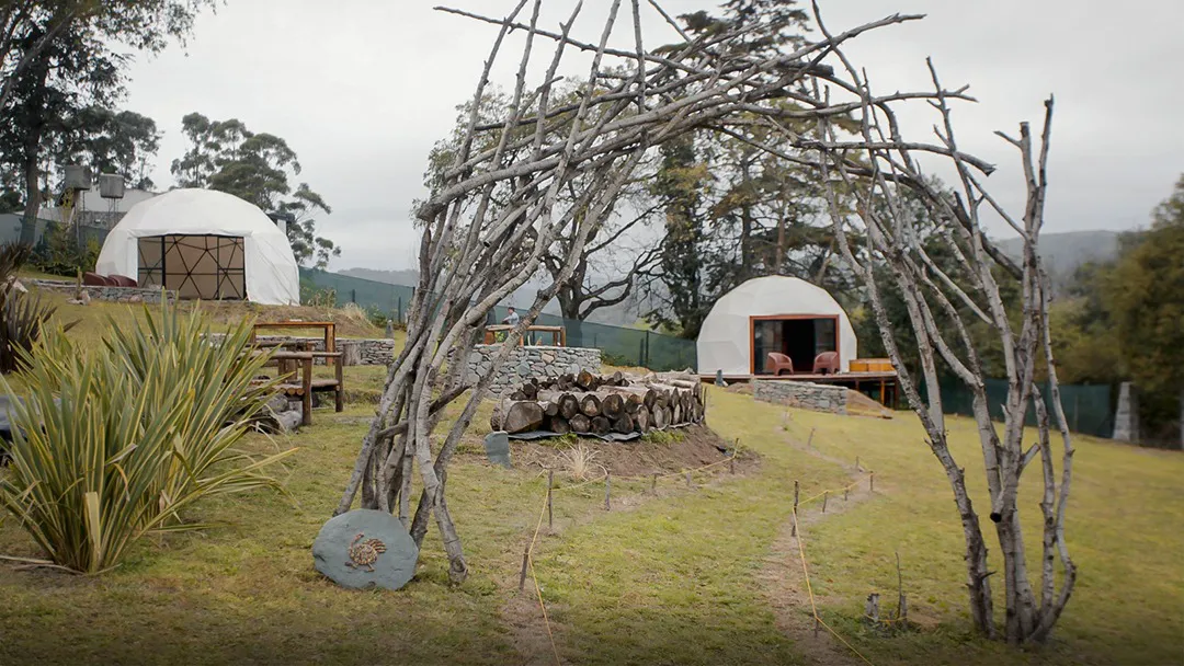 Glamping
