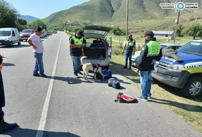 Secuestran Marihuana en la ruta a los Valles