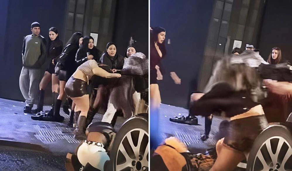 Pelea