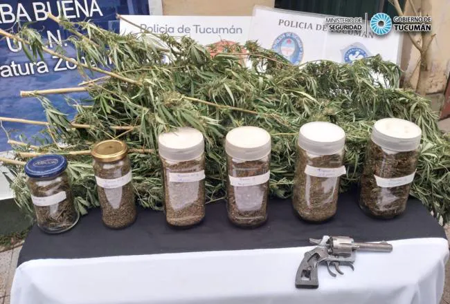 650x440_240424180709_38092