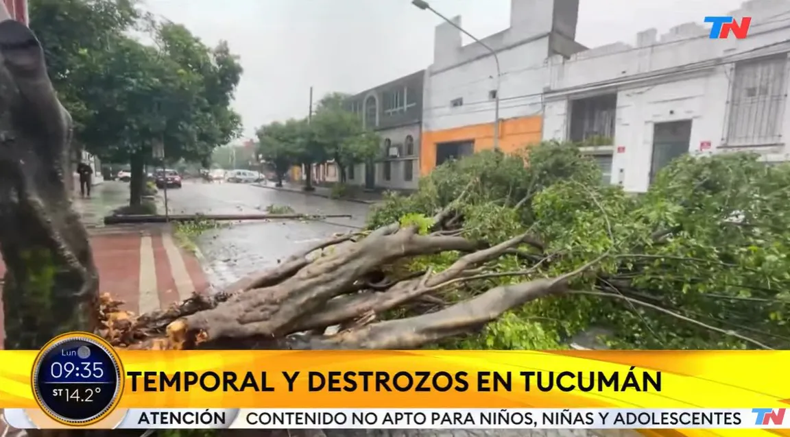 Arbol caido en tucumán TN