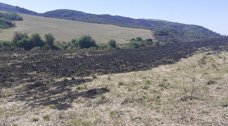Extinguieron-incendios-en-cerro-medina-Cadillal-igneos-fuego