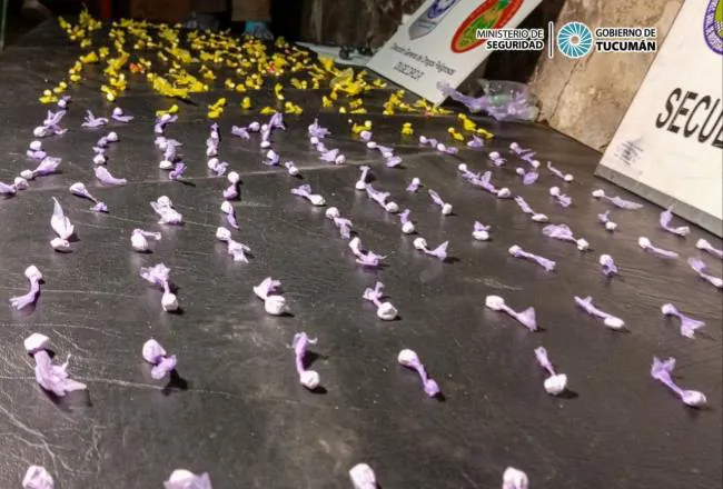 650x440_240516203727_93563