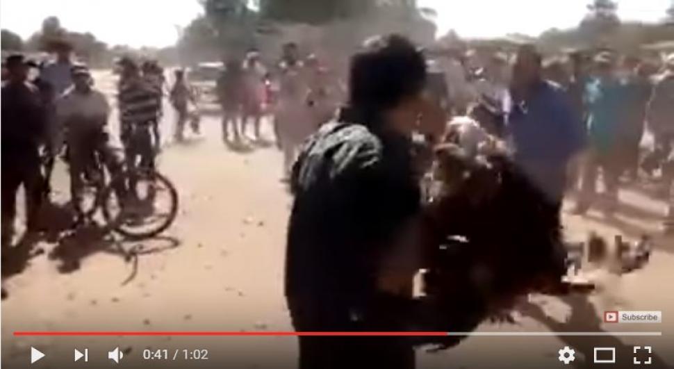 Captura de video