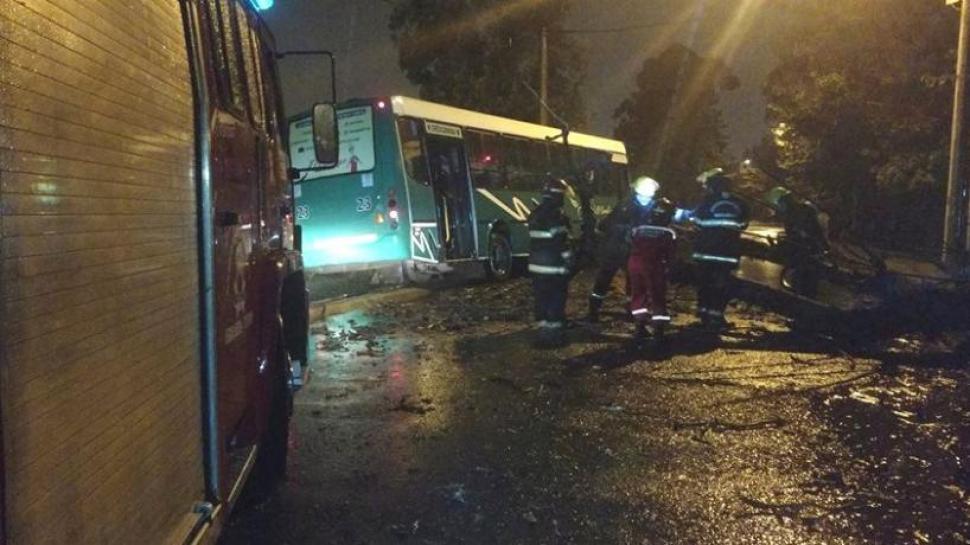 Por esquivar la caída de un árbol un colectivo quedó atascado ente el cordón y la banquina.-