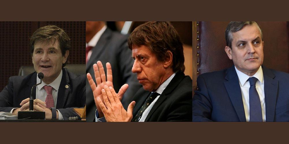pedicone-bussi-leiva