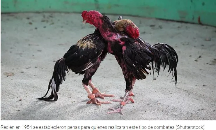 Captura