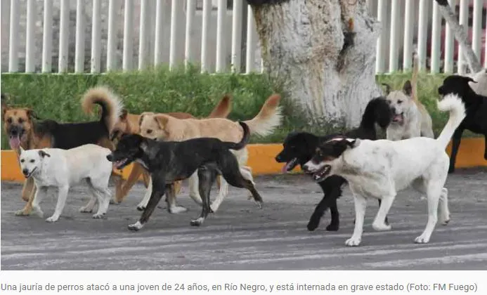 Captura