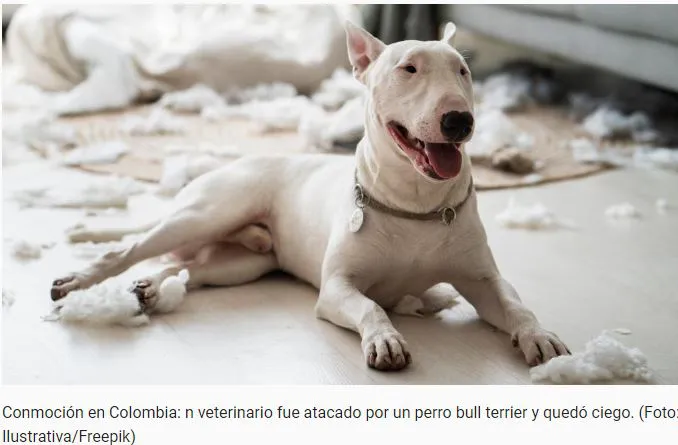 Captura