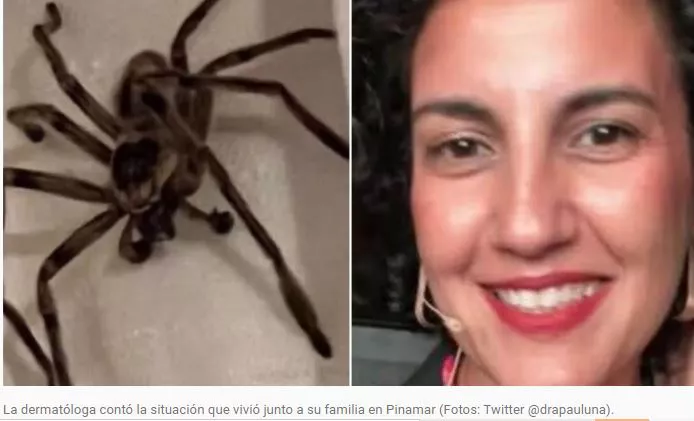 Captura