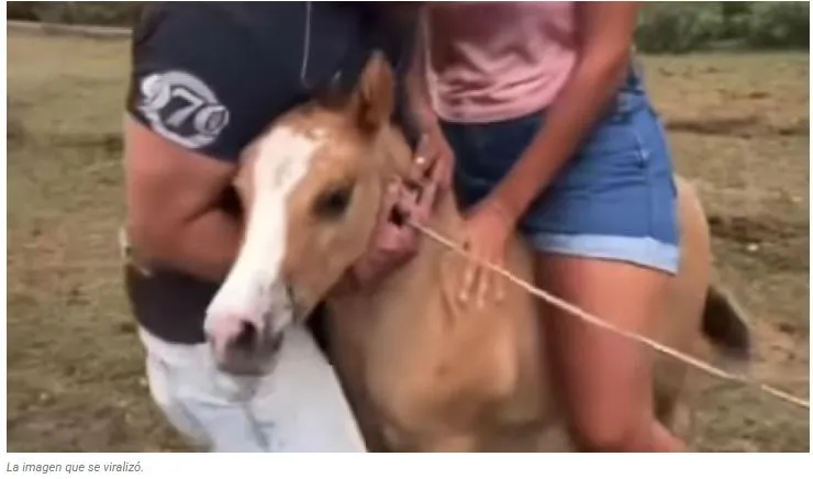 captura